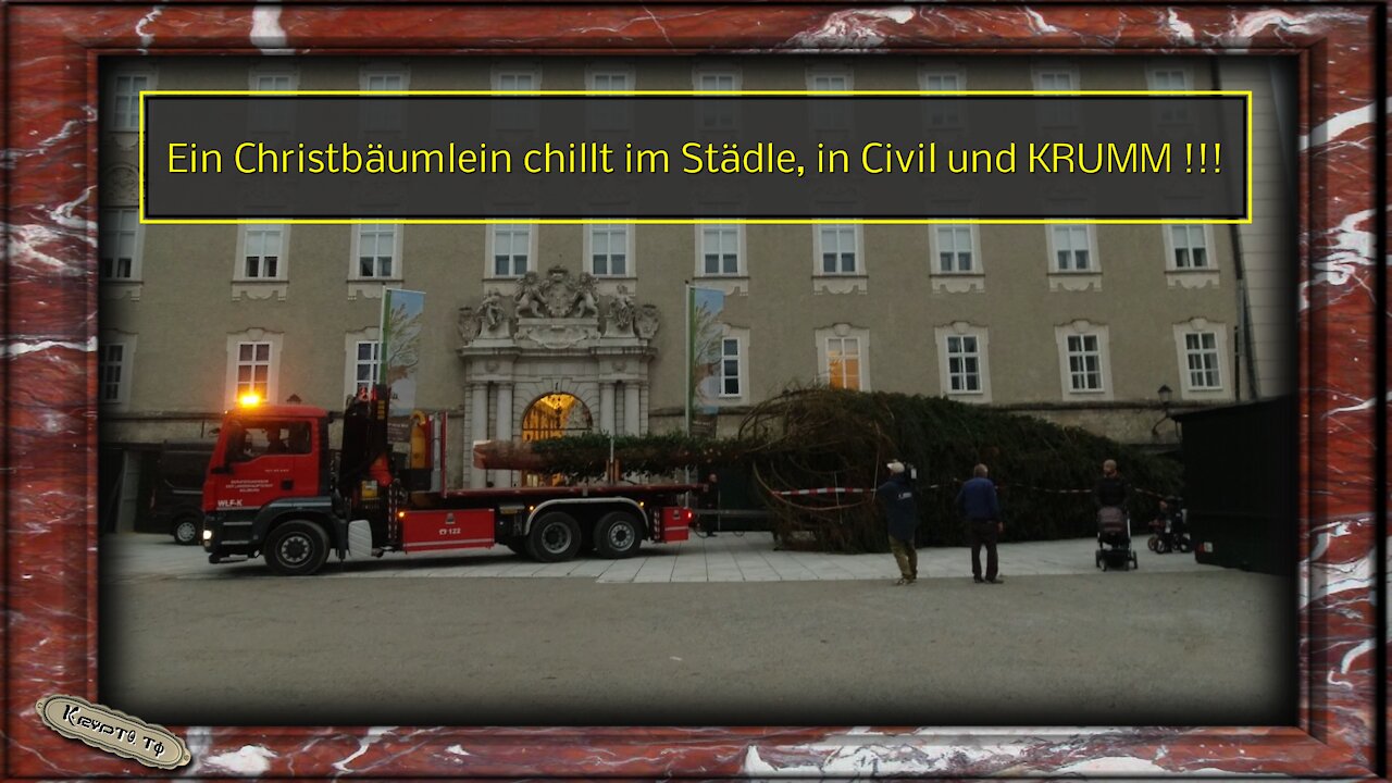 Ein Christbäumlein chillt im Städle, in Civil und KRUMM!!!