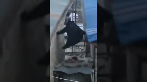 Ninja Bear Strikes Again!