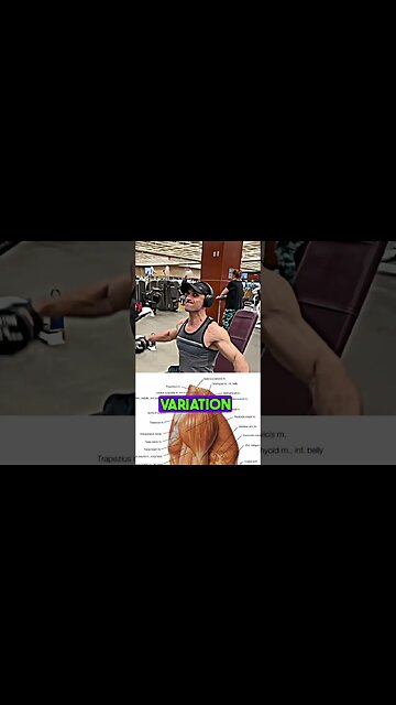 DELTS 💯🔥#health #gym #fitness #workout #love #motivation #life #goal #live #dashperception #fit