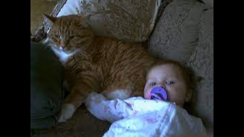 Babies And Cat Funny Time.!