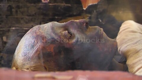 Ηead of real ancient egyptian mummy #egypt #egyptian #mummy