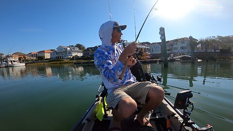 Rudee inlet red fish short