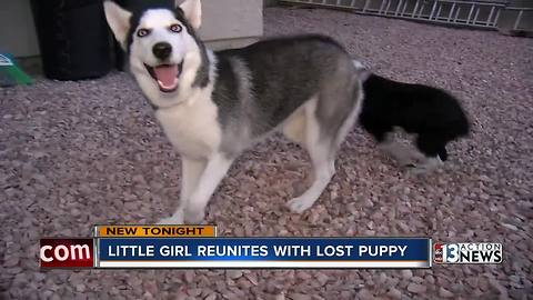 Stolen dog returned to Las Vegas family