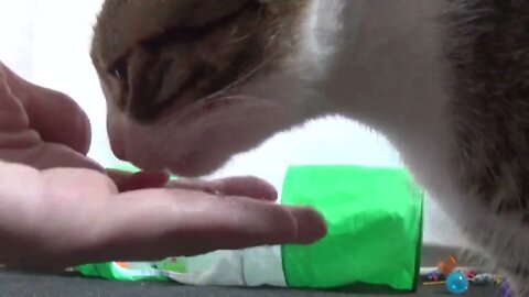 Hooman Feeds Me by Hand