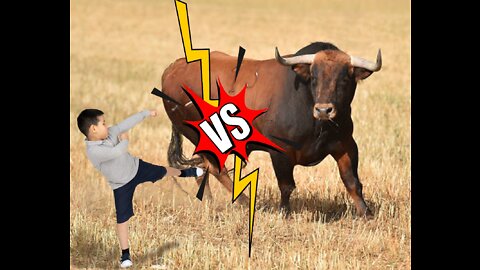 Bull vs Boy