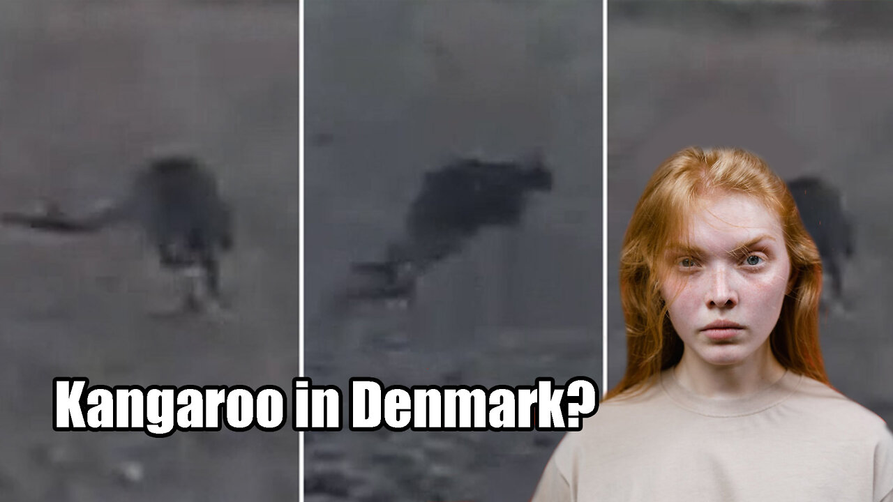 Kangaroo🦘 Loose In Denmark🕯