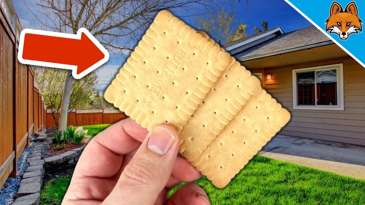 IMMEDIATELY call the Police if there is a BISCUIT under your Doormat 🤯💥