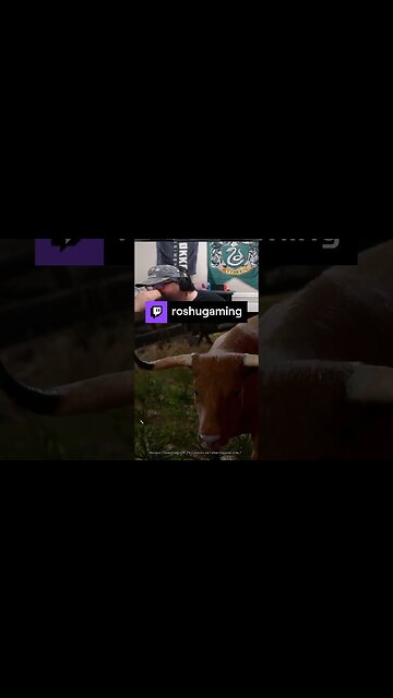 Baldur's gate 3 Clips: MOO