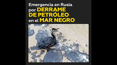 Desastre ambiental: petróleo contamina la costa de Anapa, Rusia