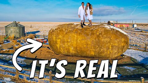 LIVING IN THE WORLD'S BIGGEST POTATO