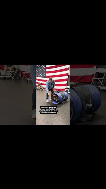 Agility Training #dogtraining