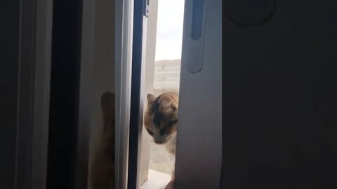 She learnt how to open the window