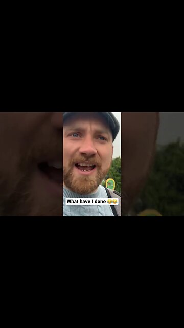 What have I done...?? #classiccars #jaguar