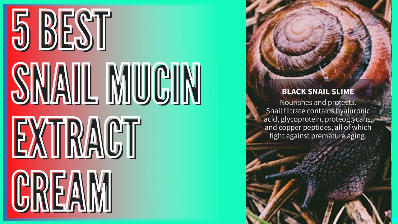 5 Best Snail Mucin Extract Cream | Products based on Black Snail Slime