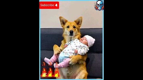 Dog lover #dog #lovers