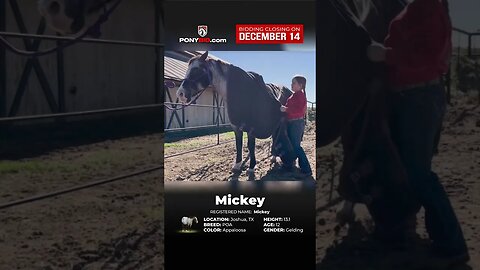 Ｍｉｃｋｅｙ