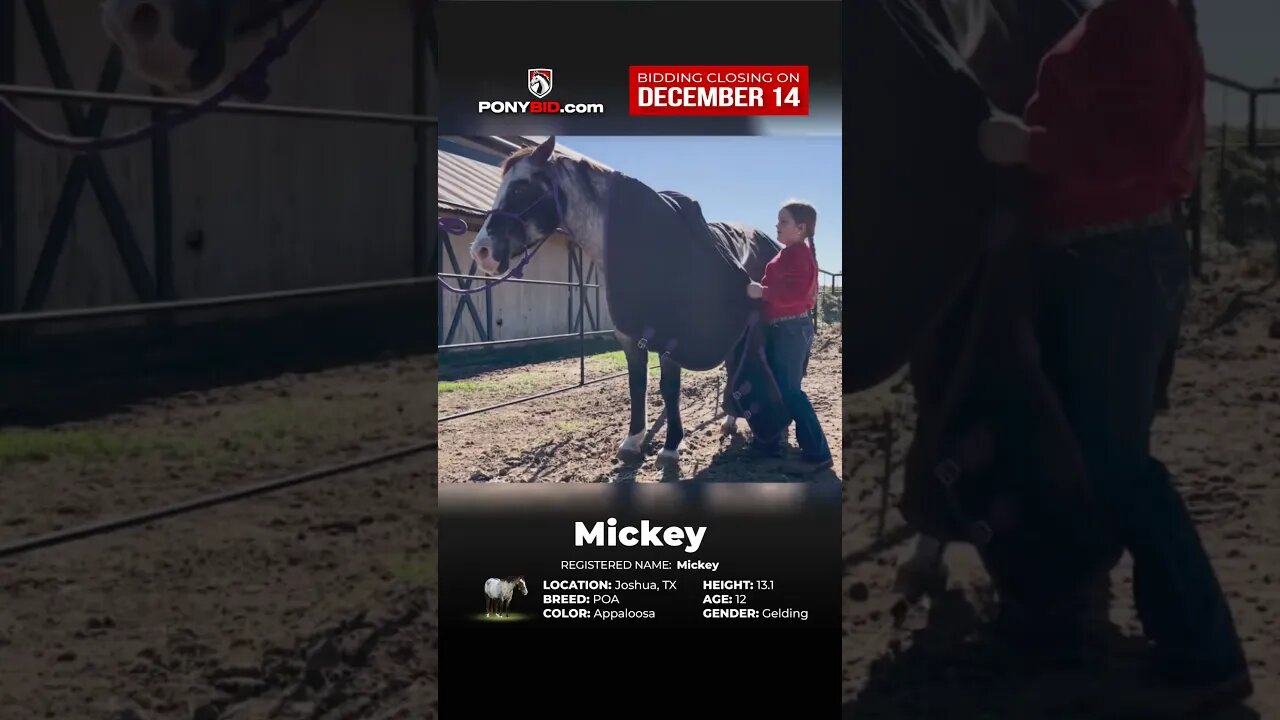 Ｍｉｃｋｅｙ