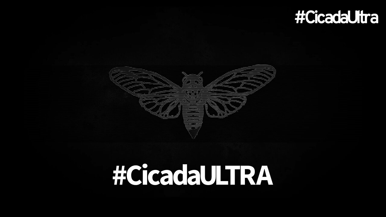 #CicadaUltra
