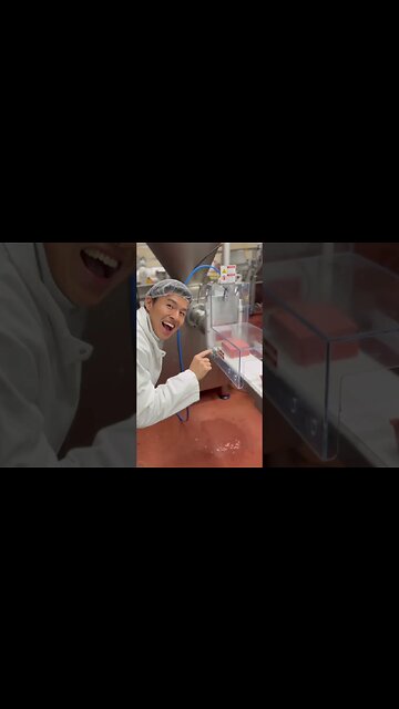 How to start your cat on raw #shorts