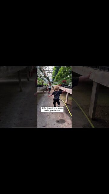 Who Doesn't Love This? #shorts