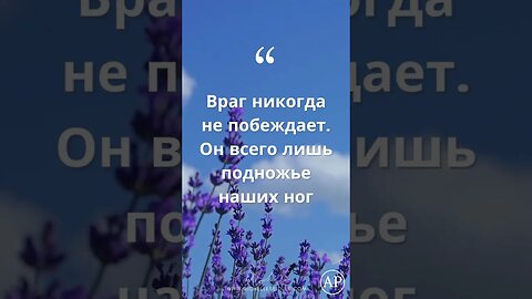 Враг никогда не побеждает. Michelle Seidler