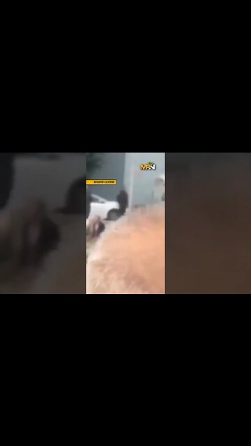 Ben-Gvir’s urinating near site of a recent mass shooting