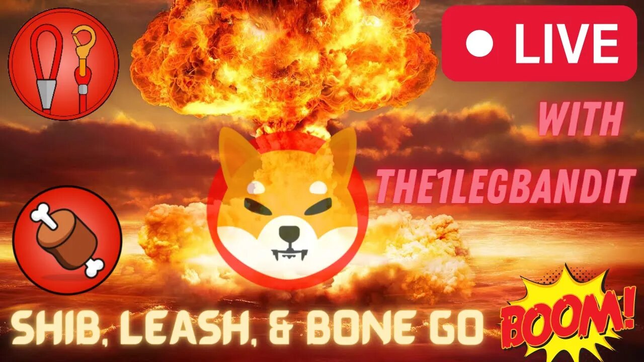 SHIB, LEASH, & BONE go BOOM