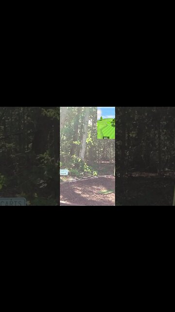 Domburgsche Golf Club - Hole 1 #Shorts #Golf #Golfing #Golfer #SimGolf #GarminR10 #GolfSimulator