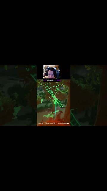 FOUND A STICK | Zelda Tears of the Kingdom Meme