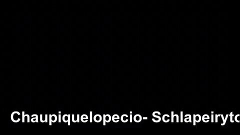 Chaupiquelopecio - Schlapeirytockrond 8x slowandfast