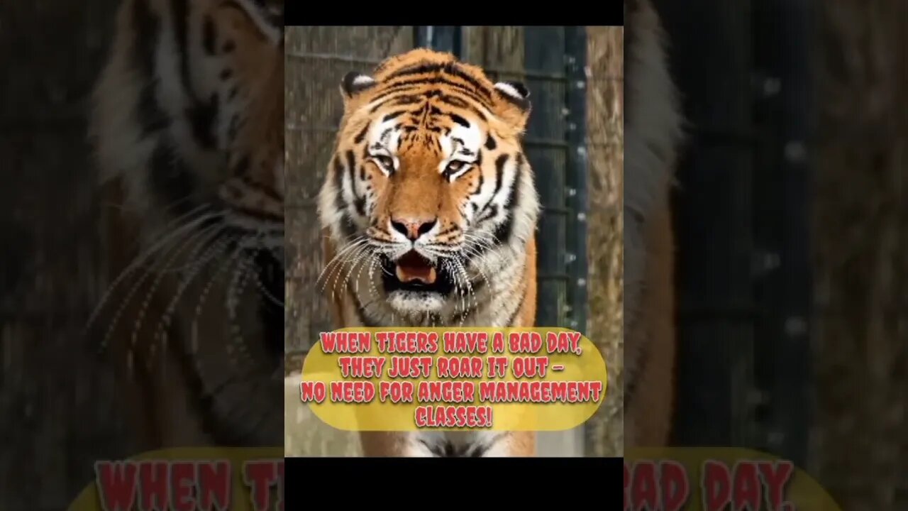 unknown facts about tiger 😱😱😱 #facts #animals #shorts