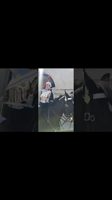 make way on horse back #horseguardsparade