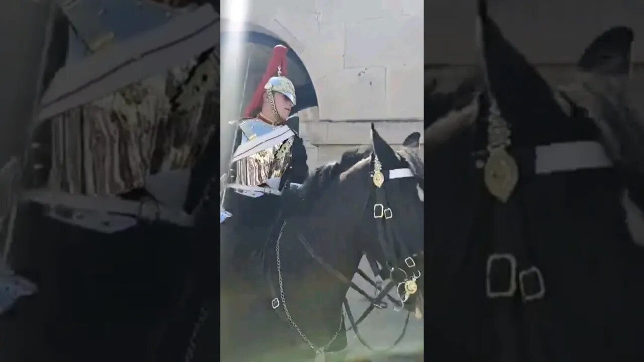 make way on horse back #horseguardsparade