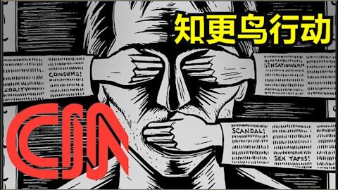 Operation Mockingbird in Chinese translation 知更鸟行动