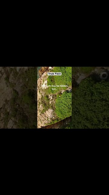 The truth may be hidden, but #shorts #facts #trueline