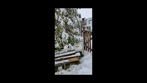 Snowy morning in Khakassia village