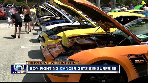 Boy fighting cancer gets surprise car show held in his honor