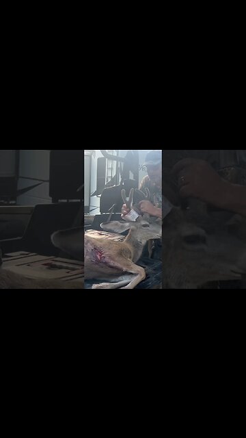 Nice back at the start hunting season 2023