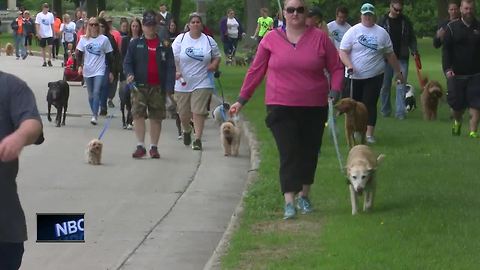 Hundreds come together for 19th annual PetWalk