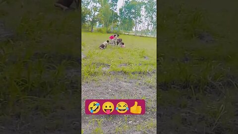 new # song # bhaini #video #funny viral video Instagram reels ❤️