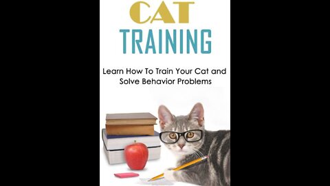 Cats 1000 : Basic Cat Training Tips