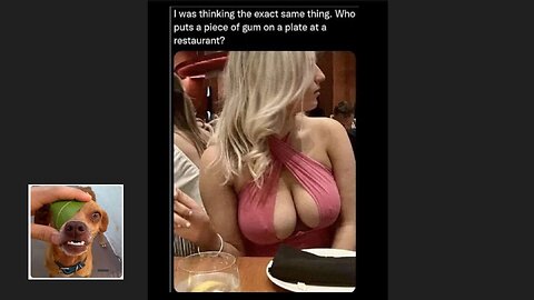 Memes That Will 99.792% Make You Laugh. (e16)