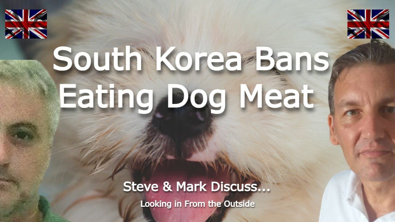 South Korea Bans Eating Dog Meat