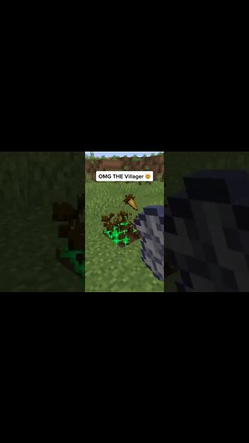 Minecraft #tiktok #Shorts