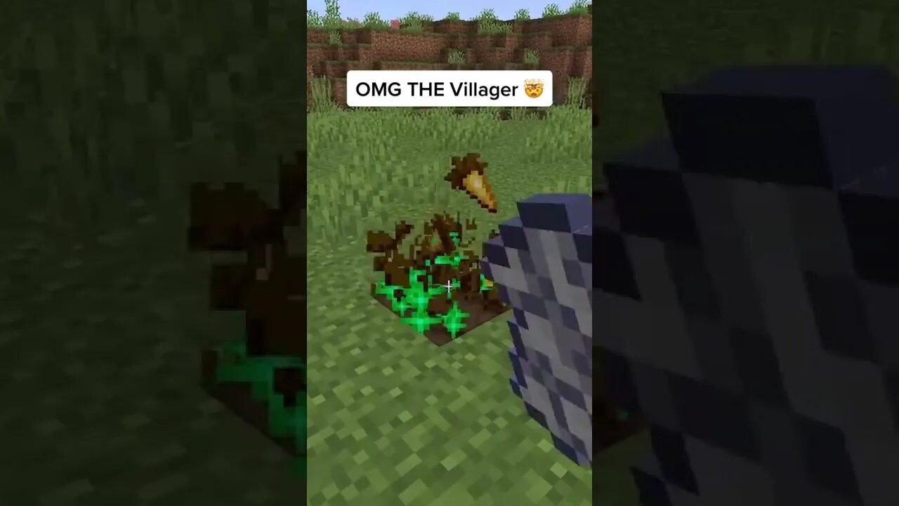 Minecraft #tiktok #Shorts