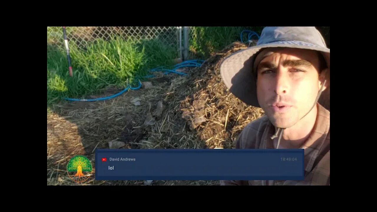 LIVE Hot Compost Pile Making and Turning