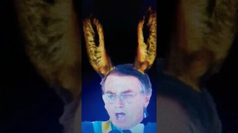 "BOLSONARO DEIXA BRASIL MAIS BURRO", DIZ UOL! #shorts #bolsonaro #lula #brasil #trend