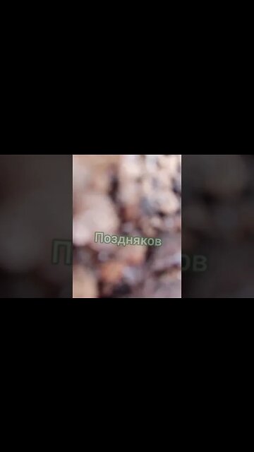 Surprise, M*therf*cker!