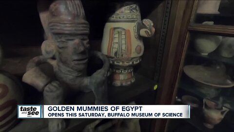 Want to see some mummies this weekend? Here's how you can find them at the Buffalo Science Museum