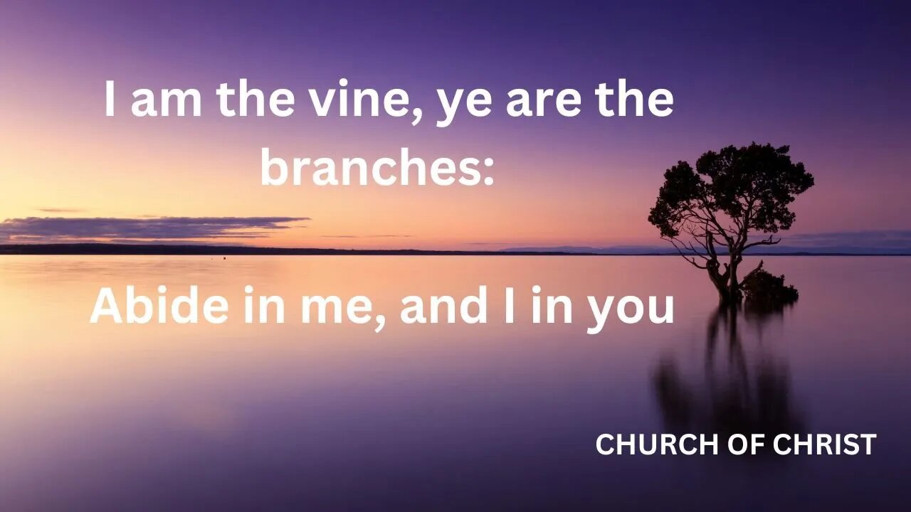 I am the vine, ye are the branches: Abide in me, and I in you | PETER K.